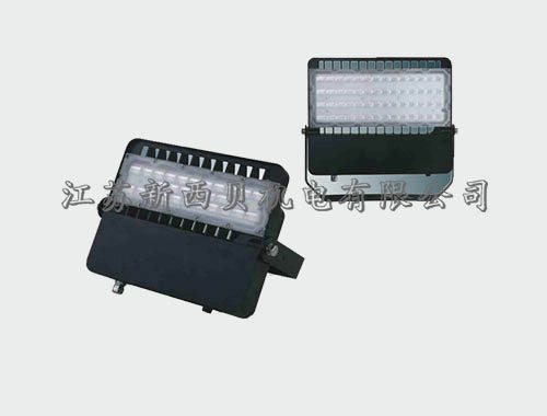 LED泛光燈E款系列